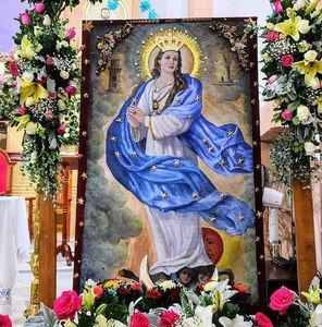 Meet your Posher, Alfredo